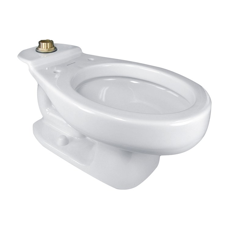 Toilet Bowl