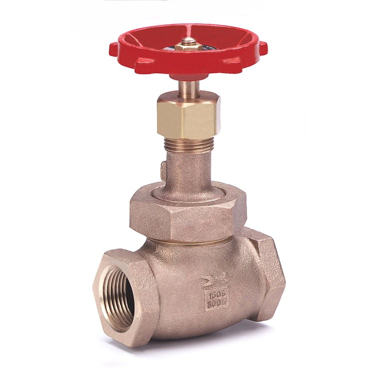 Globe Valve
