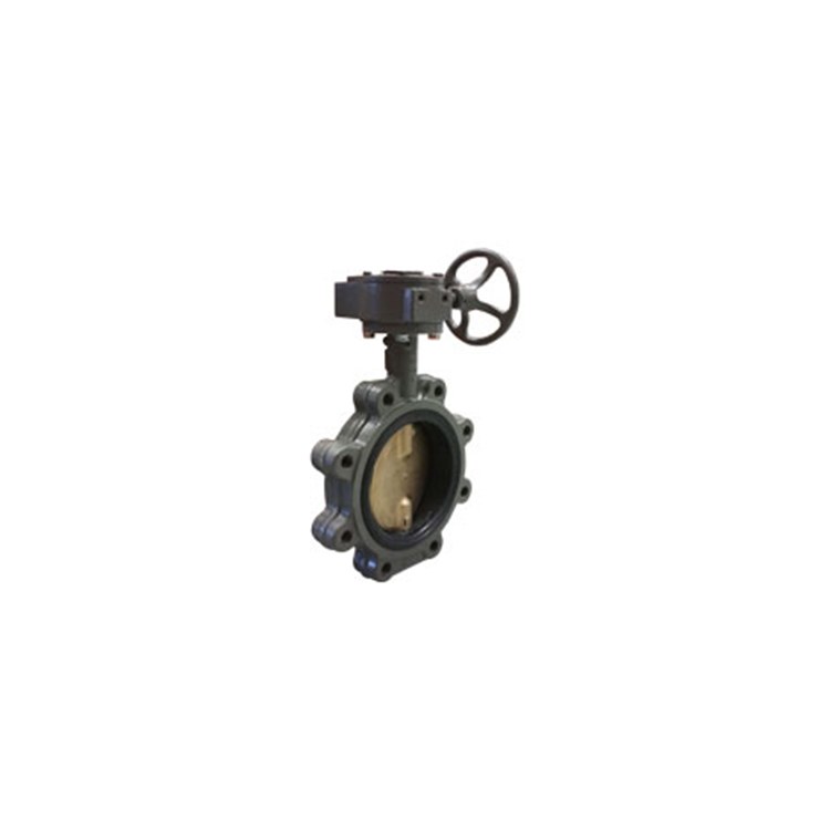 Butterfly Valve