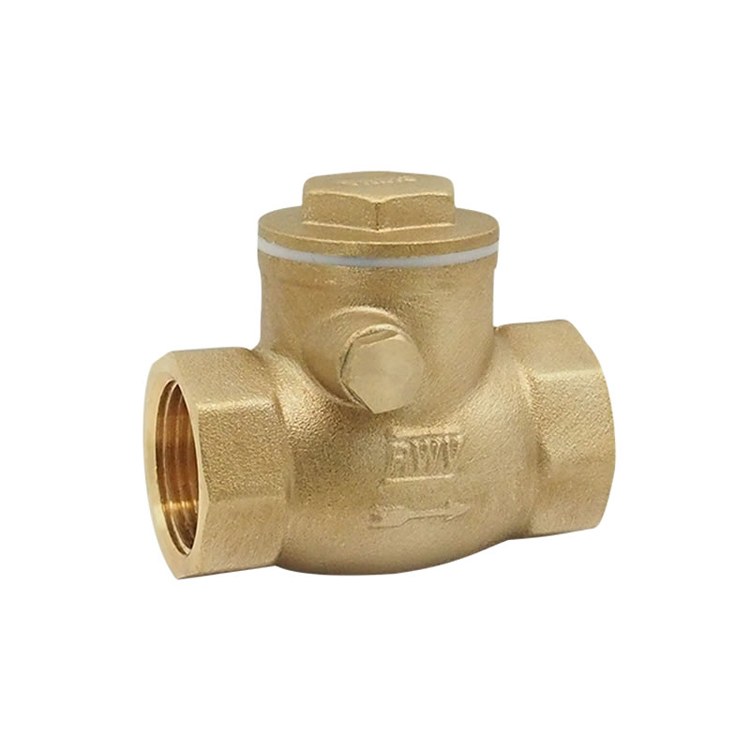 Check Valve