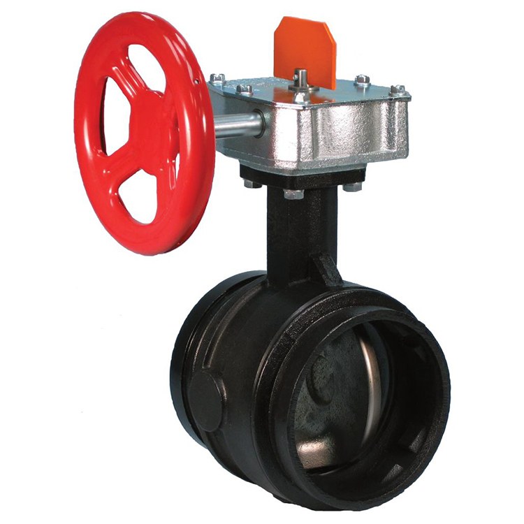 Butterfly Valve