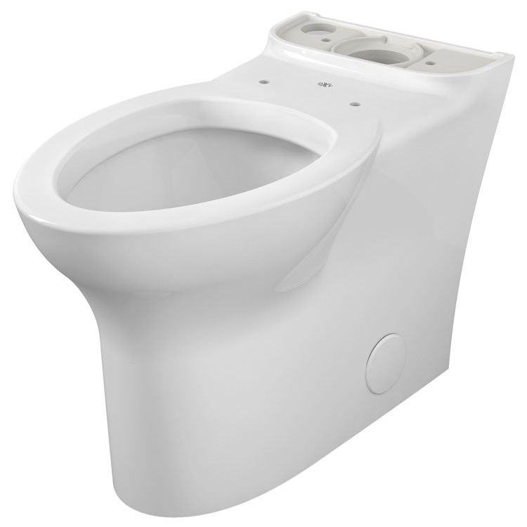 Toilet Bowl