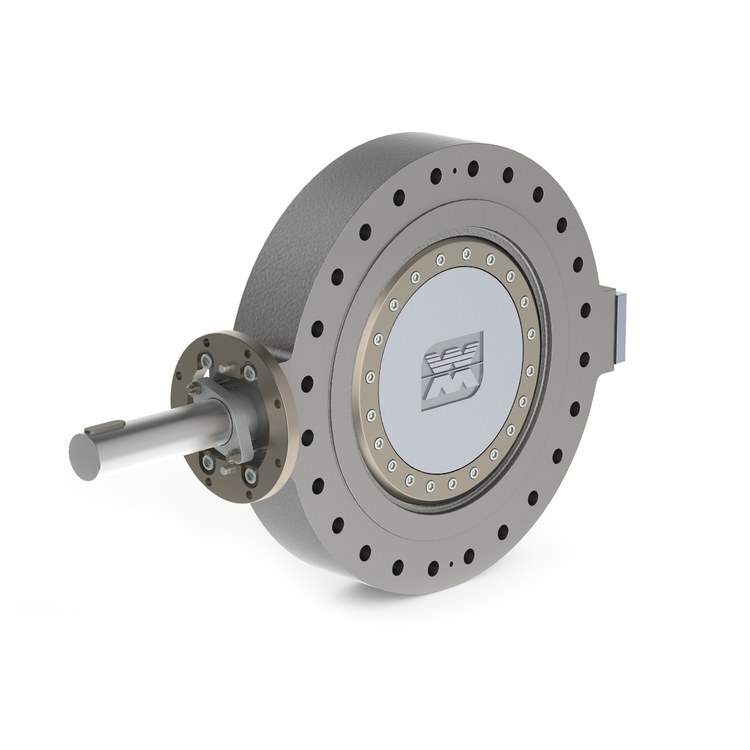 Butterfly Valve