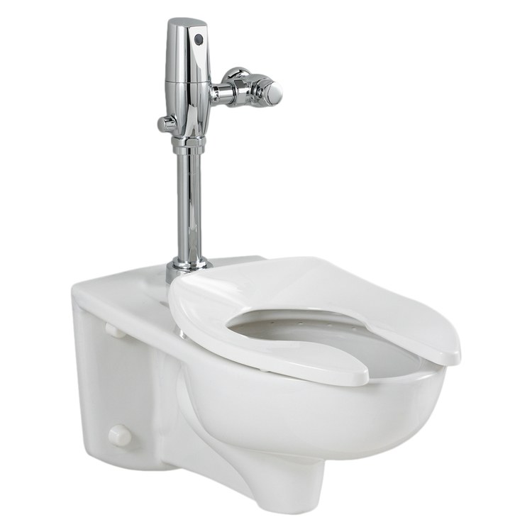 Toilet Bowl