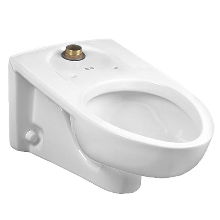 Toilet Bowl