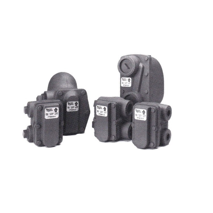 Steam Trap