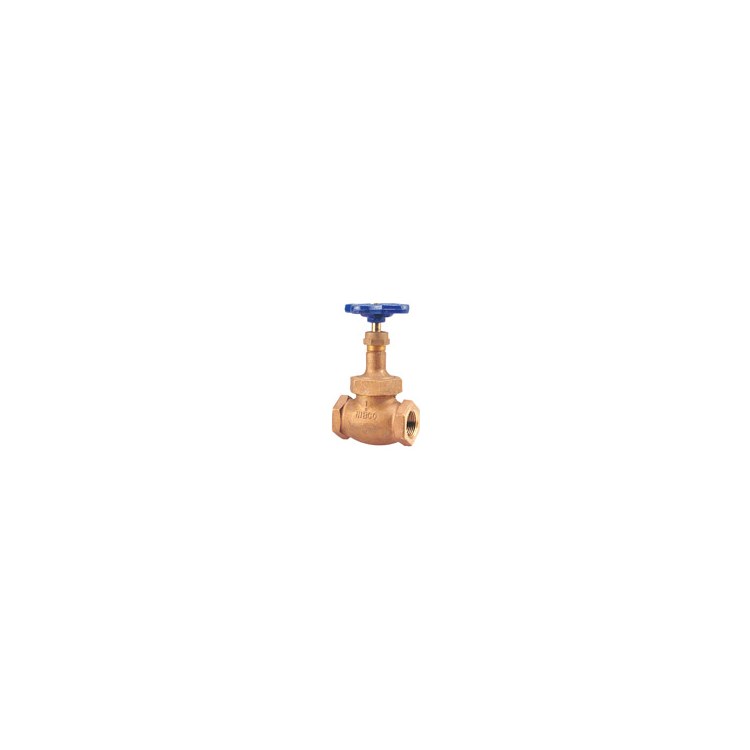Globe Valve