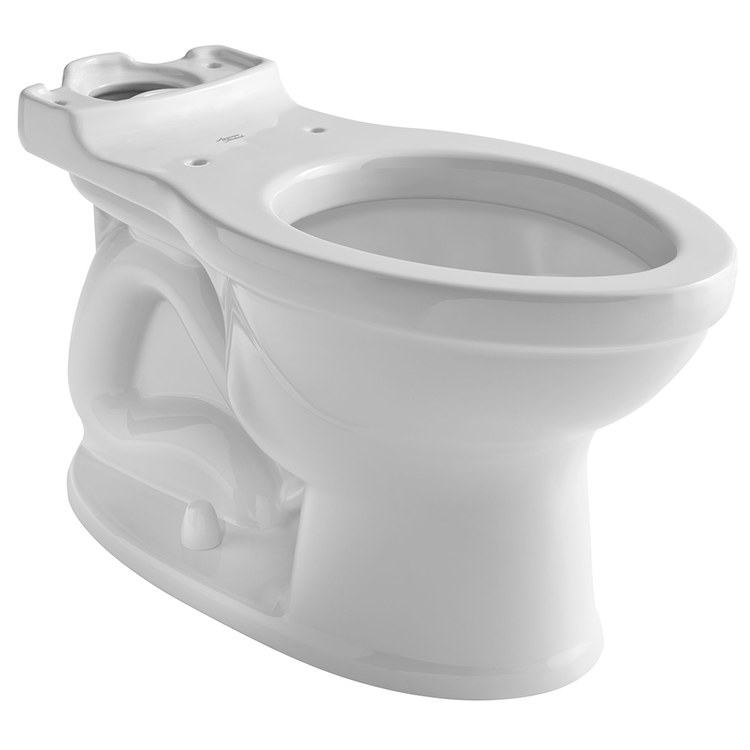 Toilet Bowl