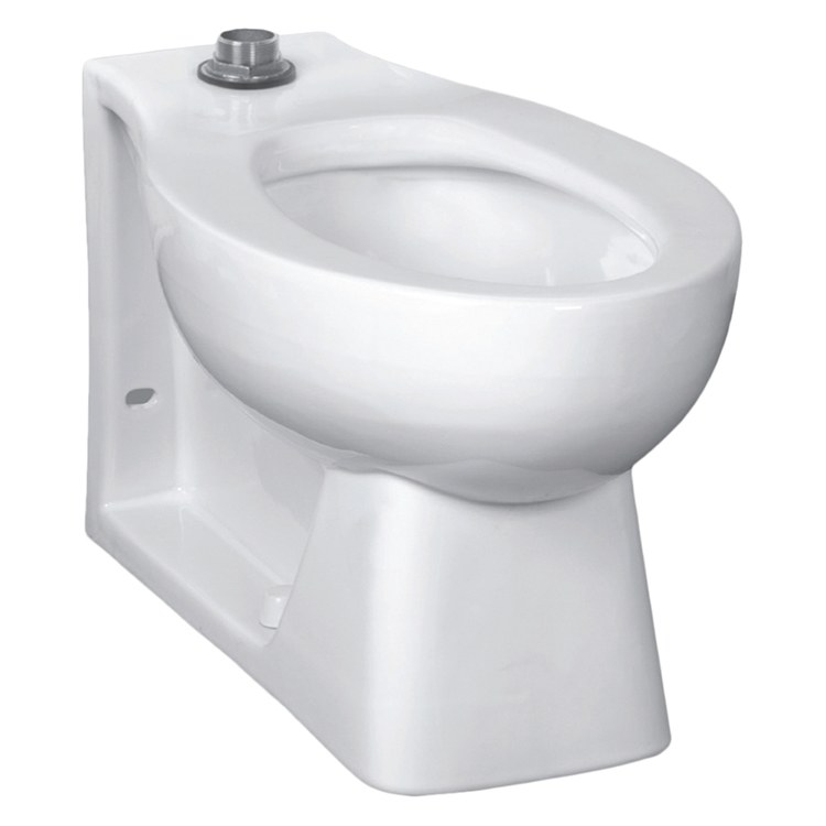Toilet Bowl