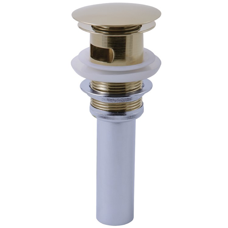 Drain Assembly