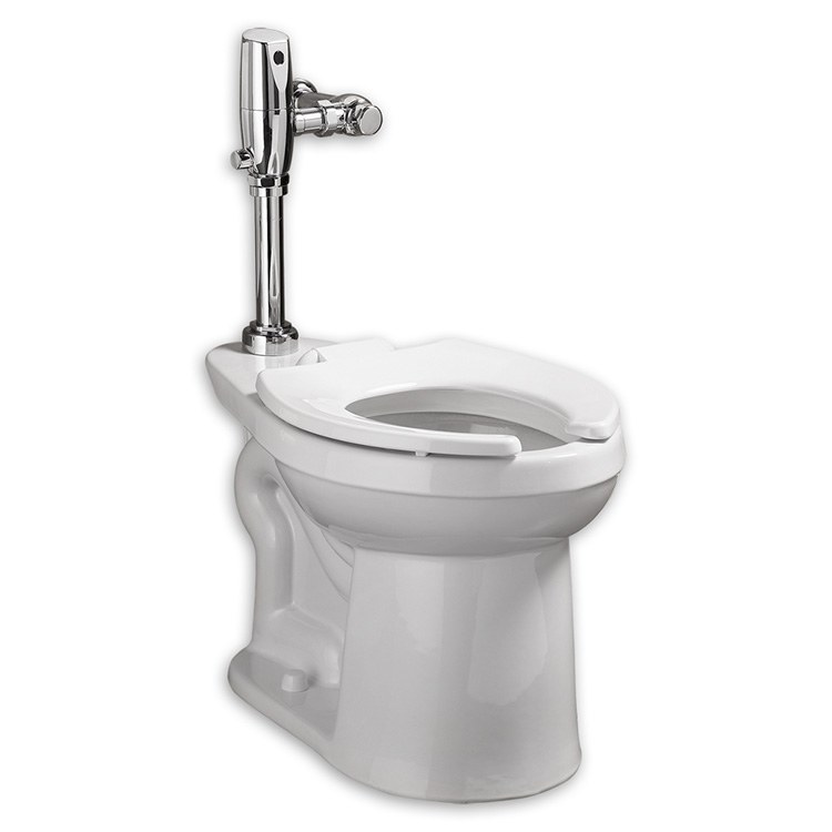Toilet Bowl