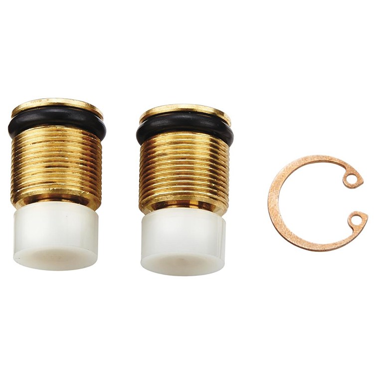 Check Valve