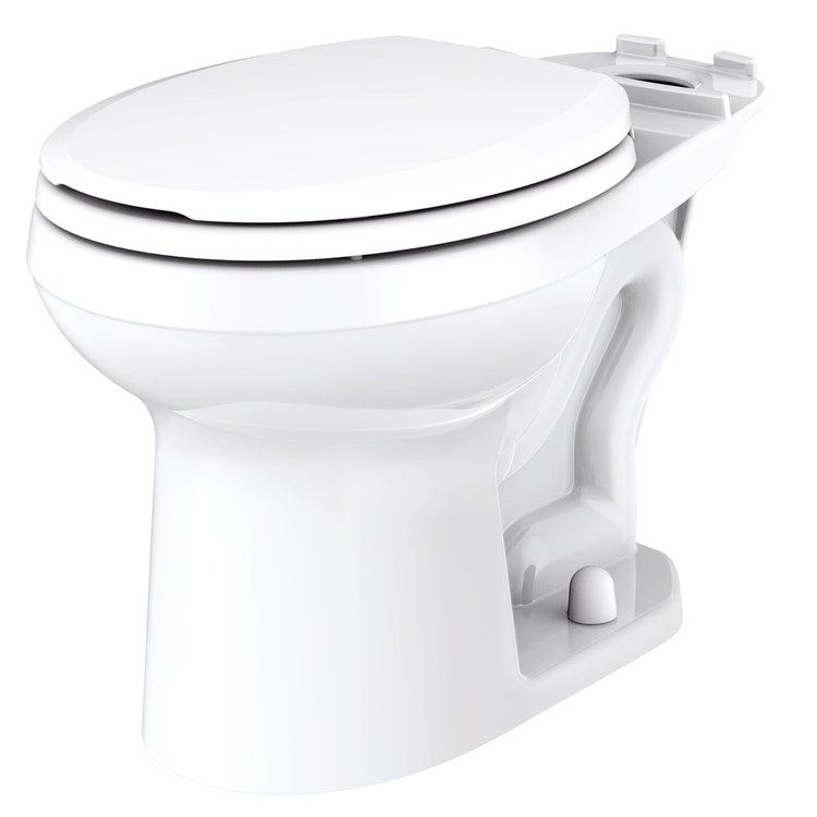 Toilet Bowl