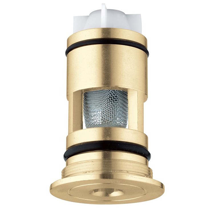 Check Valve