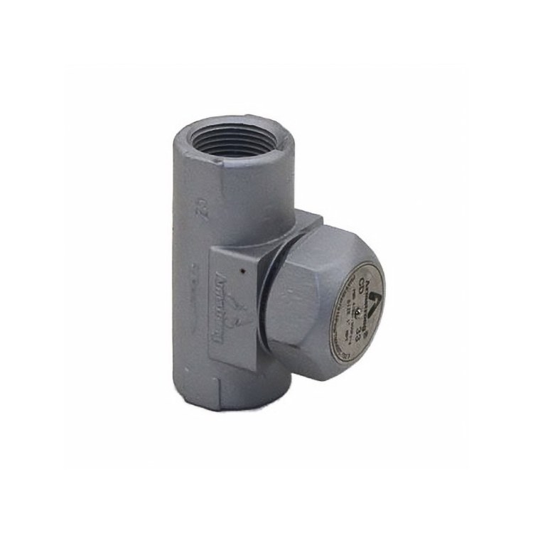 Steam Trap