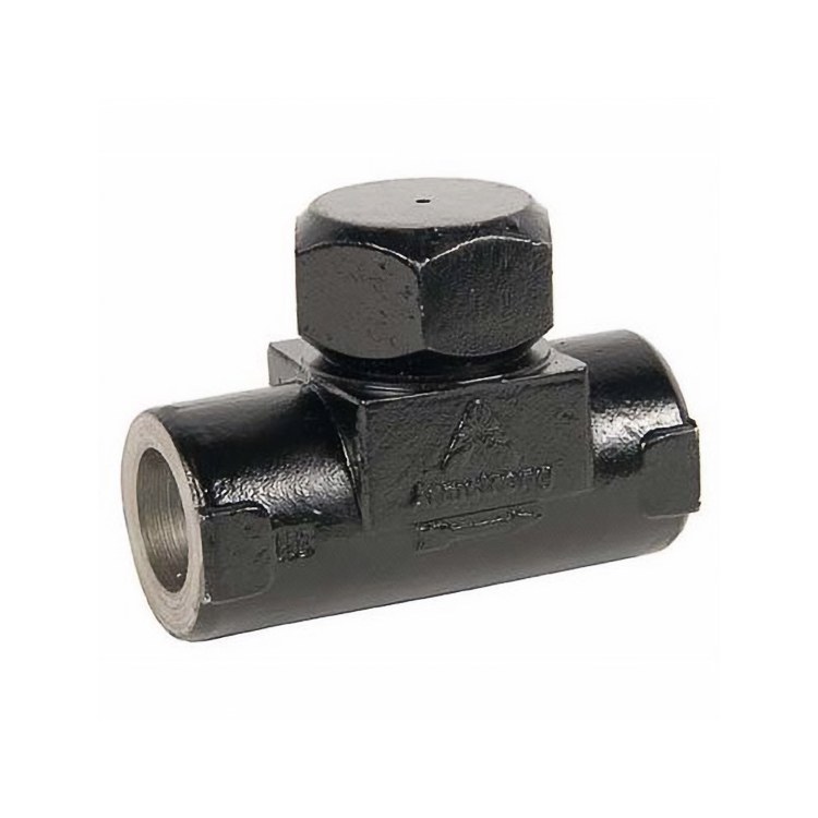 Steam Trap