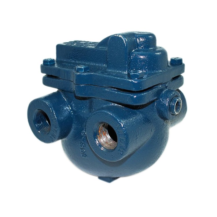 Steam Trap