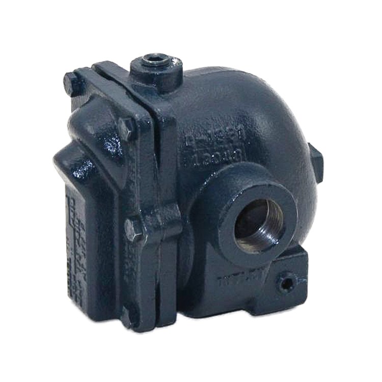 Steam Trap