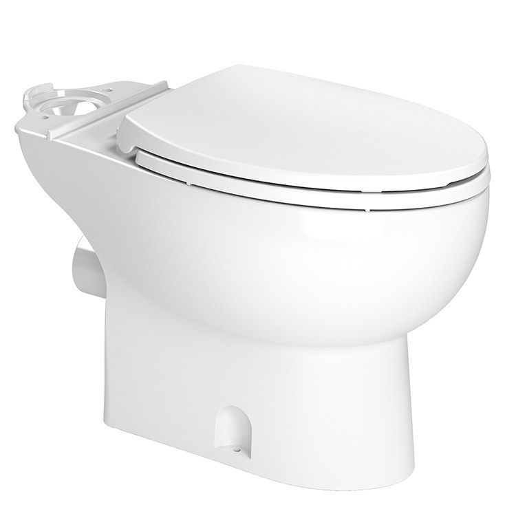 Toilet Bowl