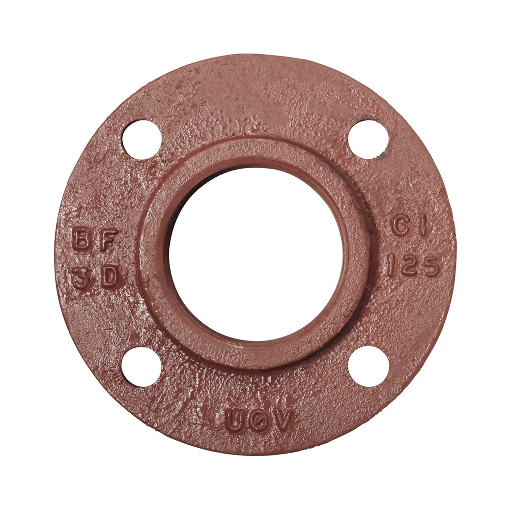 Companion Flange