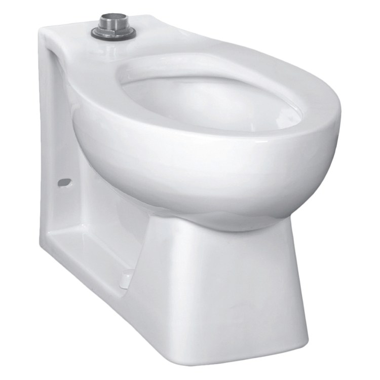 Toilet Bowl