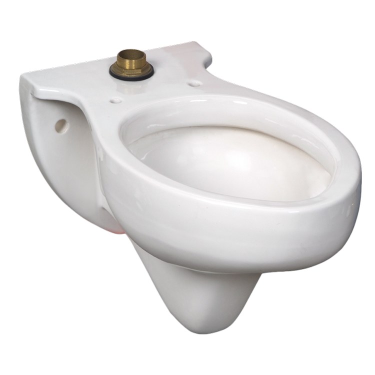 Toilet Bowl