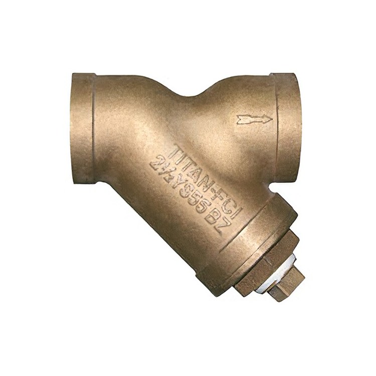 Y Strainer