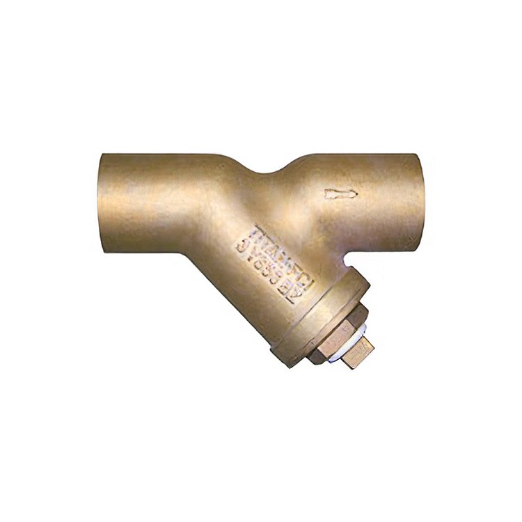 Y Strainer
