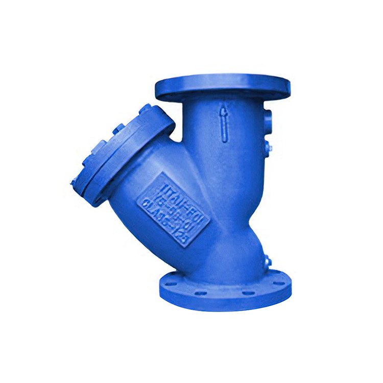 Y Strainer