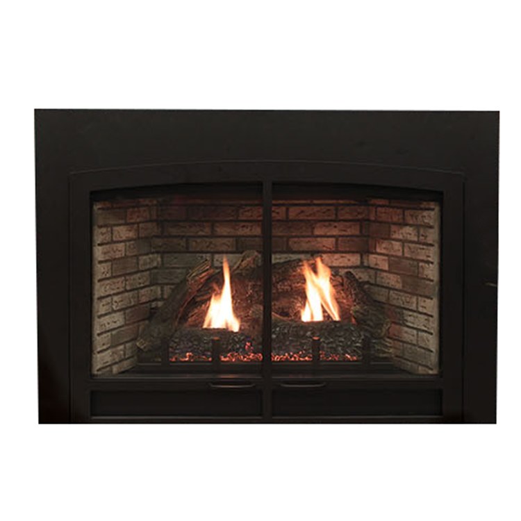 Fireplace Insert