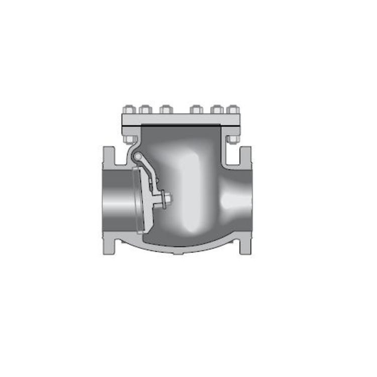 Check Valve