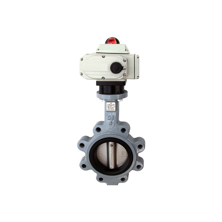 Isolation Valve