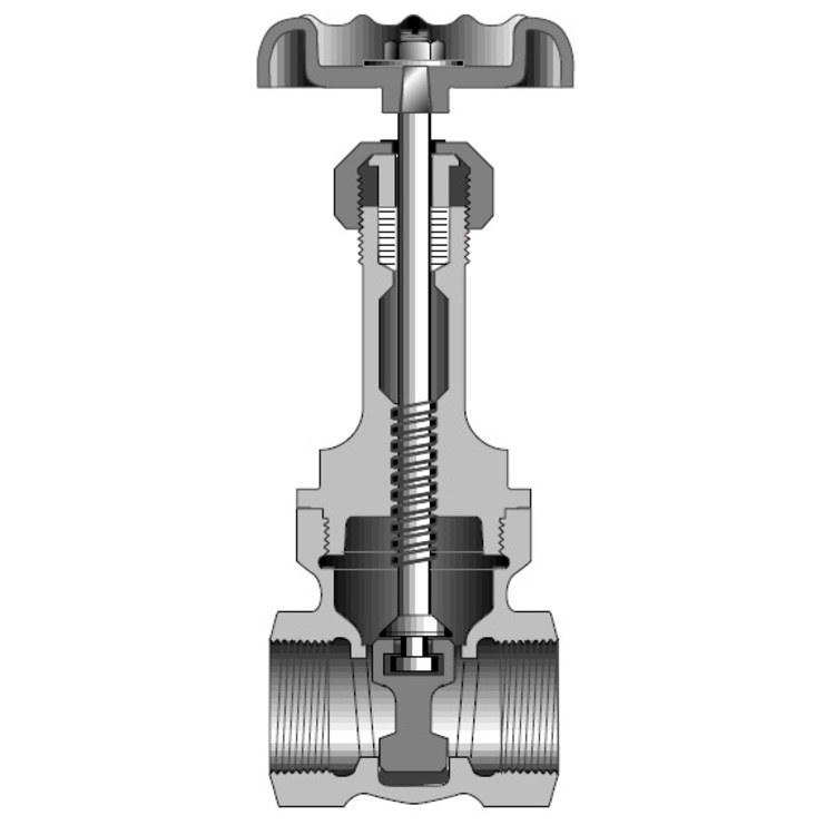 Gate Valve