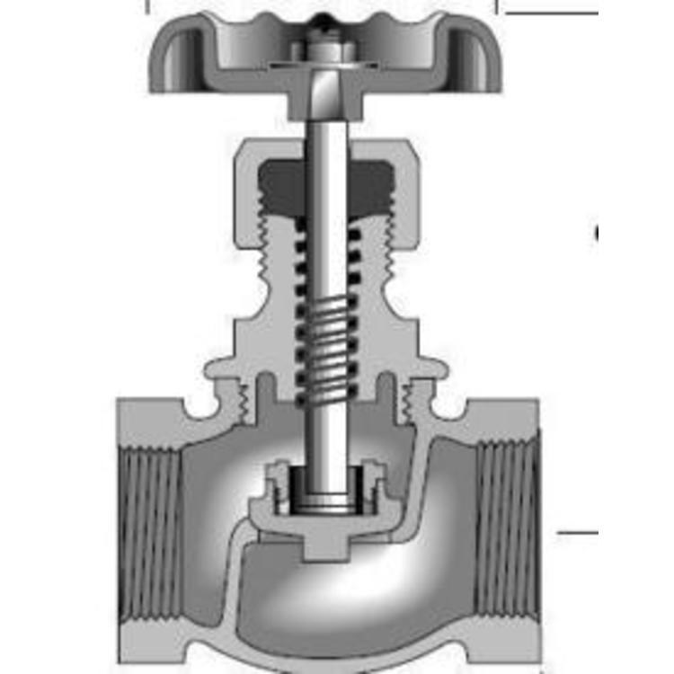 Globe Valve