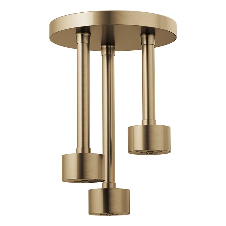  Showerhead