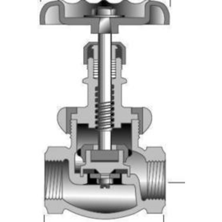 Globe Valve