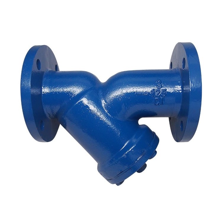 Y Strainer