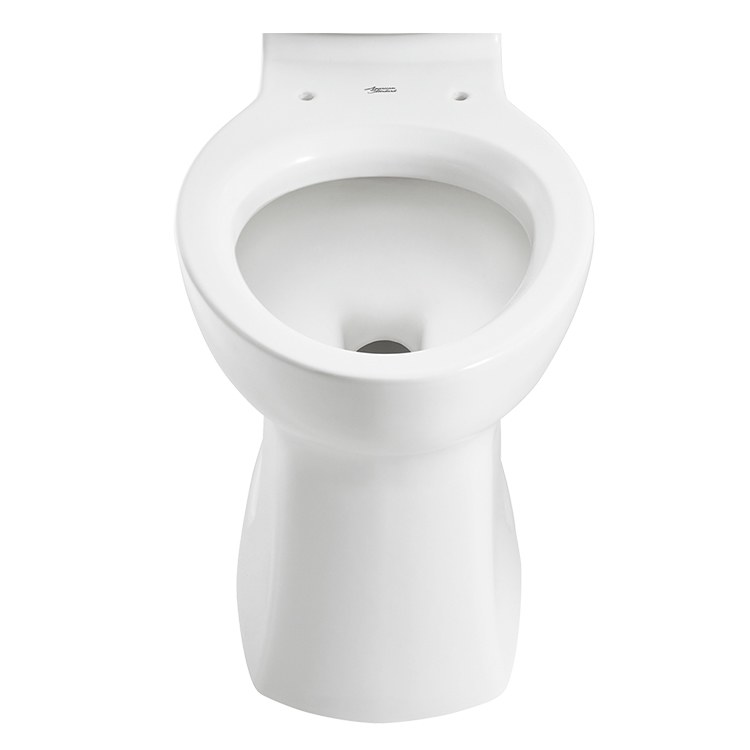 Toilet Bowl
