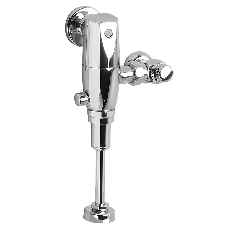 Flushometer Valve