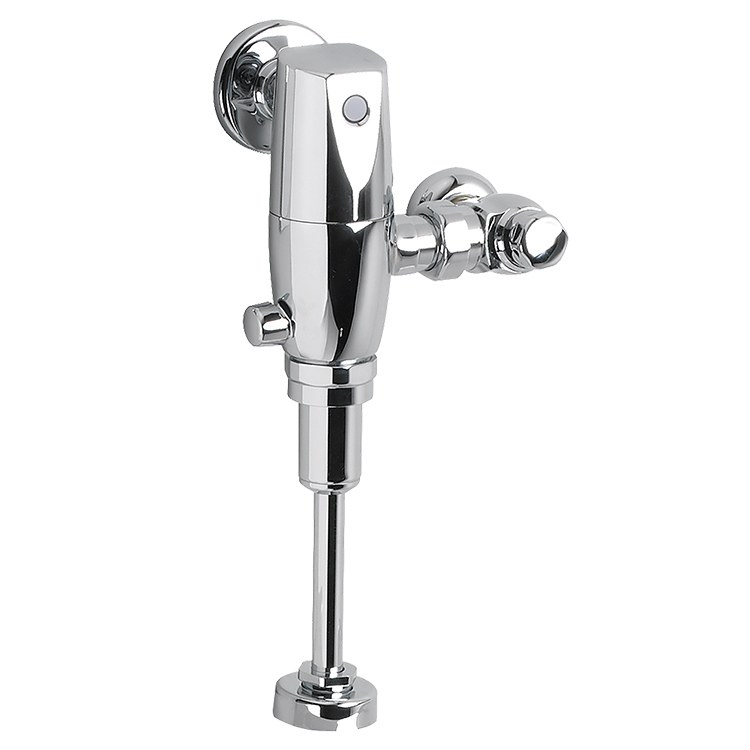 Flushometer Valve