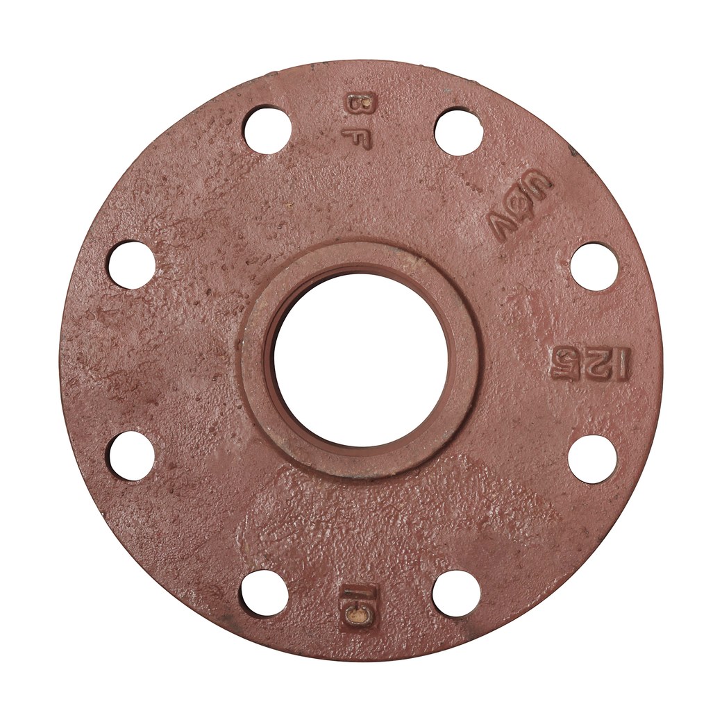 Companion Flange