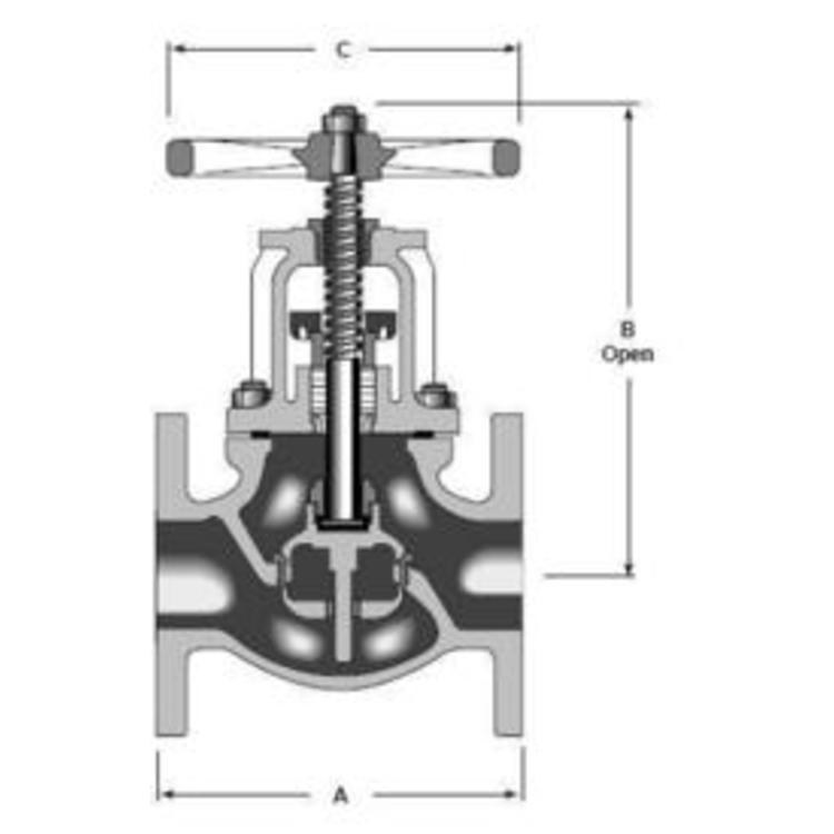 Globe Valve