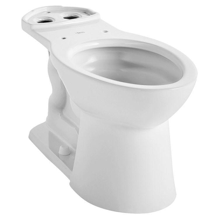 Toilet Bowl