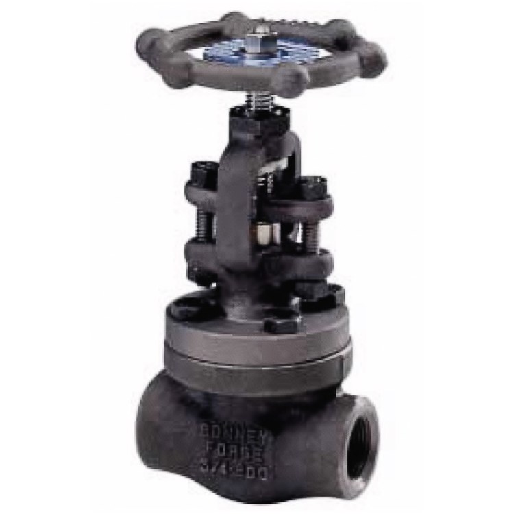 Globe Valve
