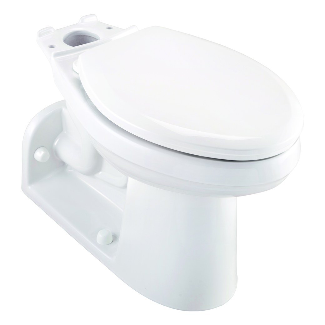 Toilet Bowl
