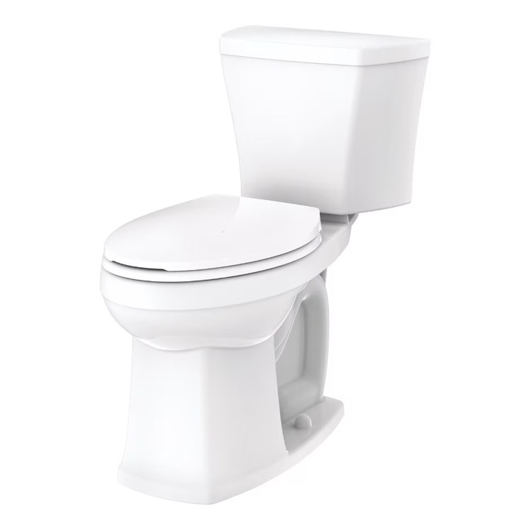 Toilet Bowl