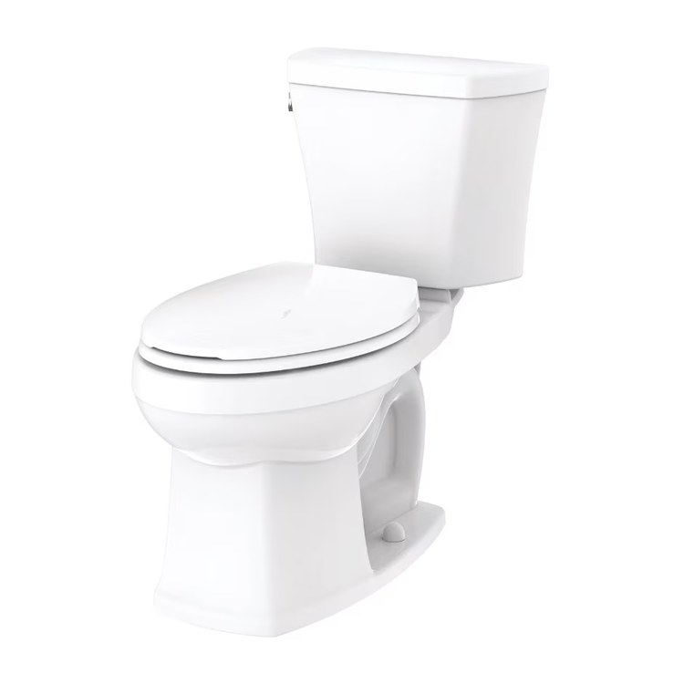 Toilet Bowl