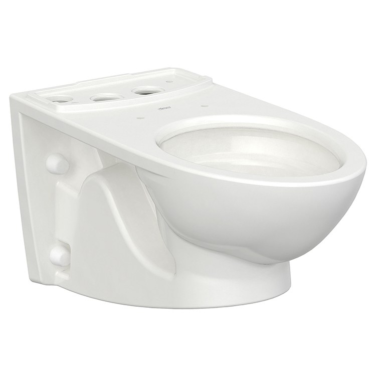 Toilet Bowl