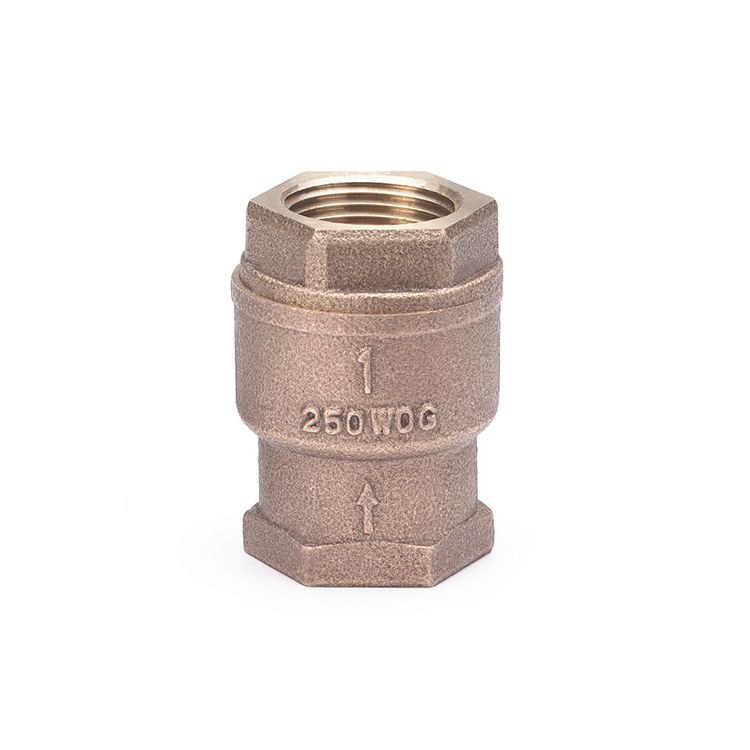 Check Valve
