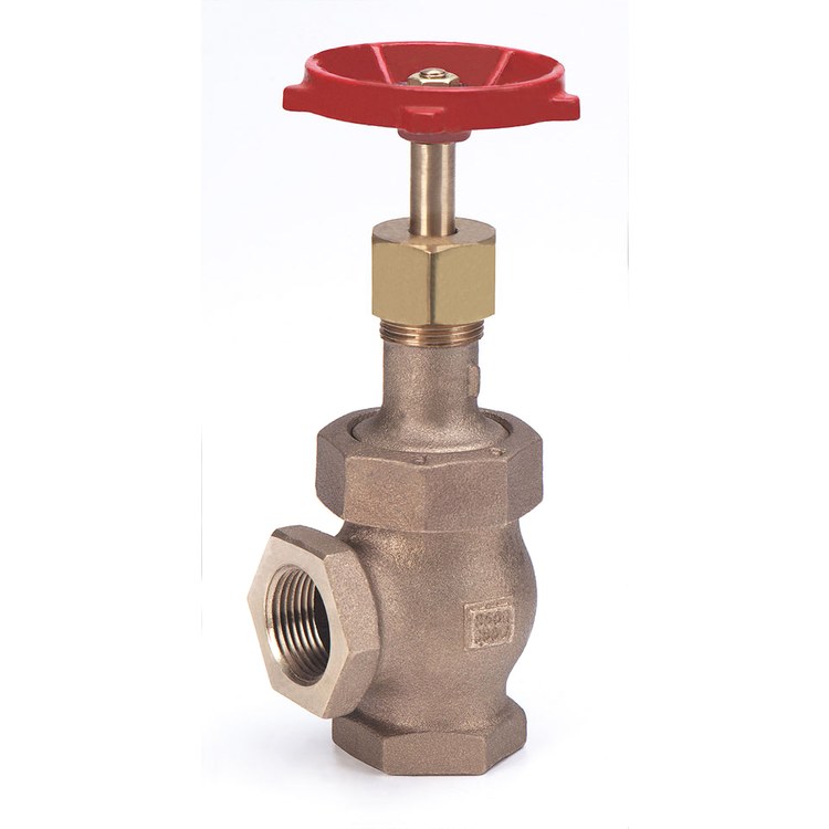 Globe Valve